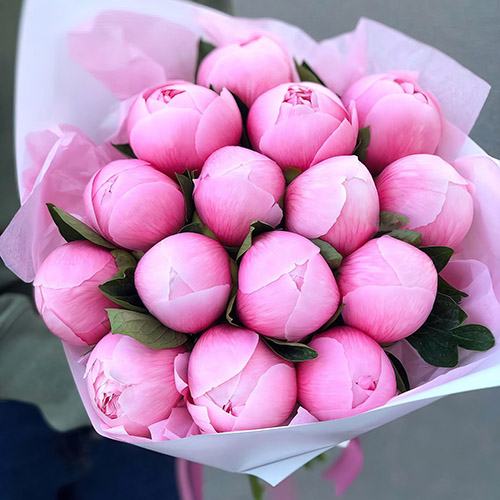 Фото товара 15 розовых пионов в Трускавце
