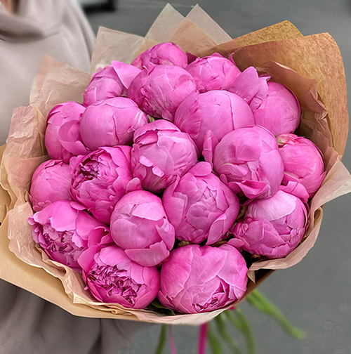 Фото товара 21 розовый пион в крафт в Трускавце