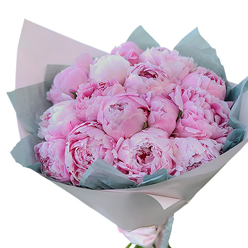 Фото товара 19 розовых пионов в Трускавце