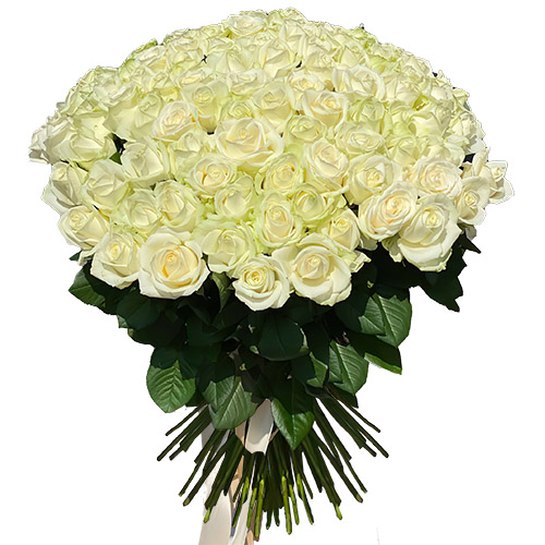 Фото товара 101 троянда біла в Трускавце