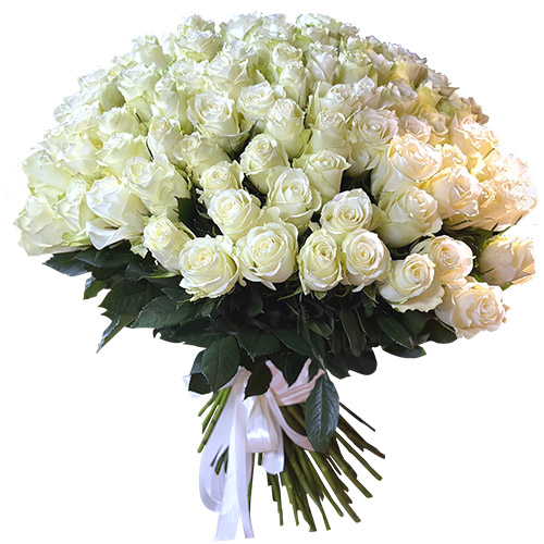Фото товара 101 біла імпортна троянда в Трускавце