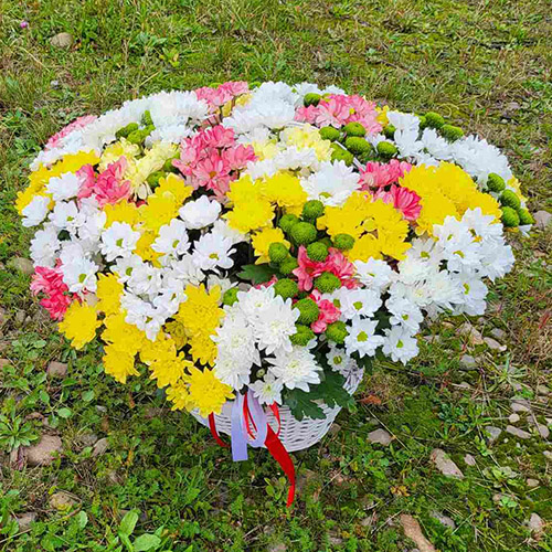 великий кошик хризантем у Трускавці фото
