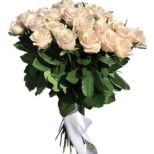 Фото товара Букет із 33 кремових троянд в Трускавце